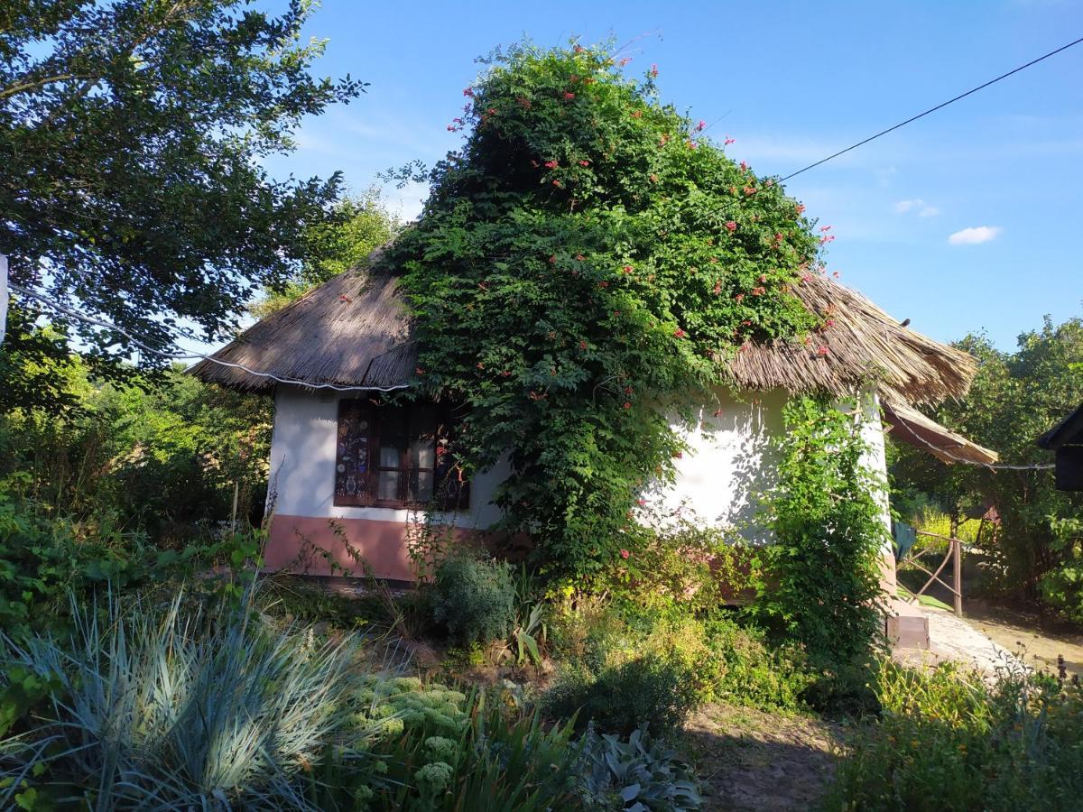 Koryakivskyi Rai Guest House Dmitrenki Exterior photo