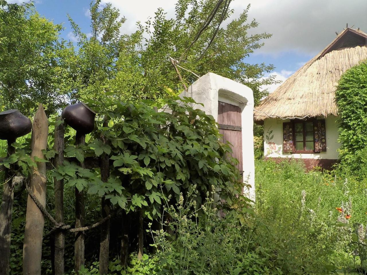 Koryakivskyi Rai Guest House Dmitrenki Exterior photo