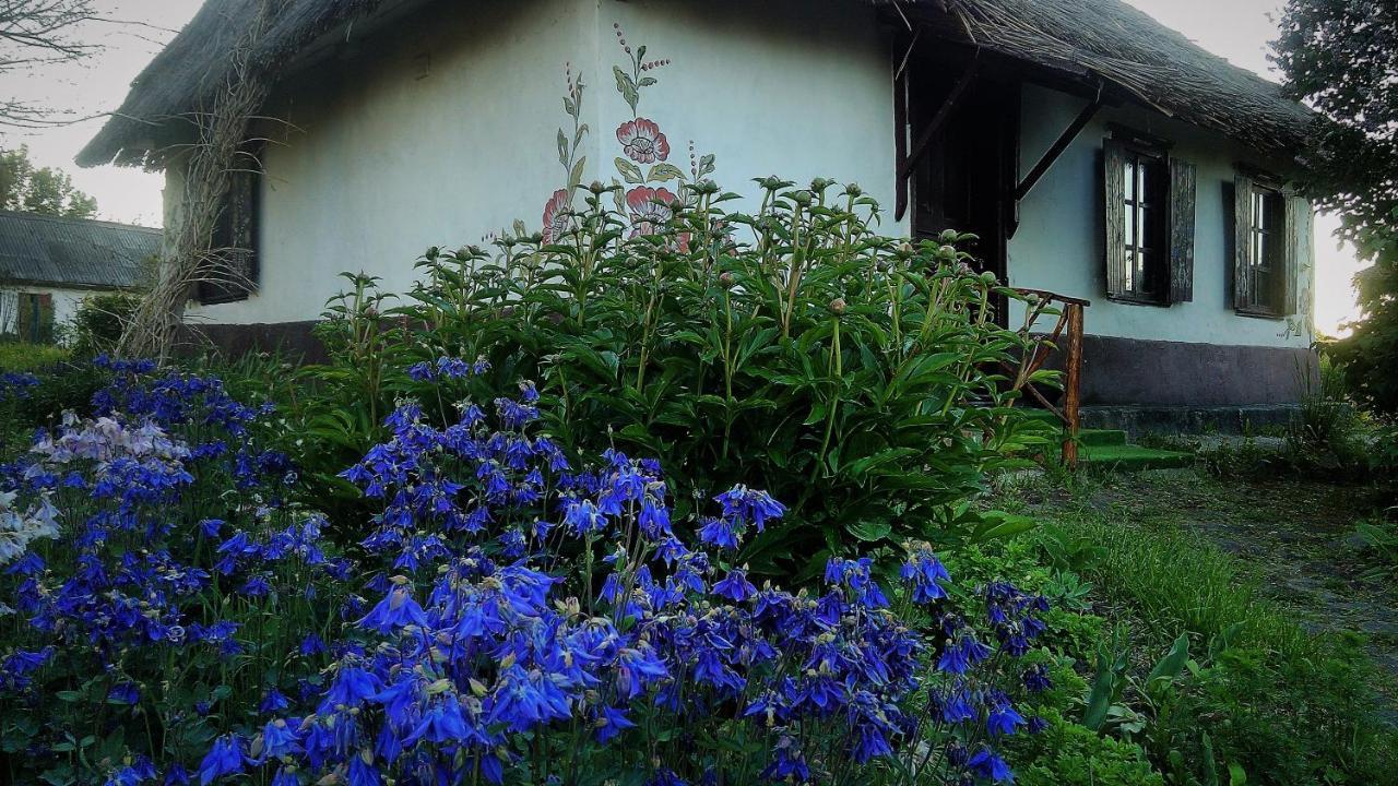 Koryakivskyi Rai Guest House Dmitrenki Exterior photo